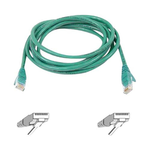 Belkin Cat6 Patch Cable