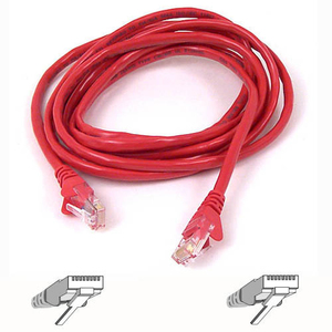 Belkin Patch Cord