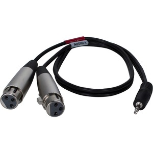 [XLRMIC-Y02/NEW] QVS 2ft 3.5mm Male to Dual-XLR Female Dual-Microphone Audio Y-Cable