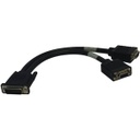 Tripp Lite 1ft DMS-59 to 2x VGA Splitter Cable M/Fx2